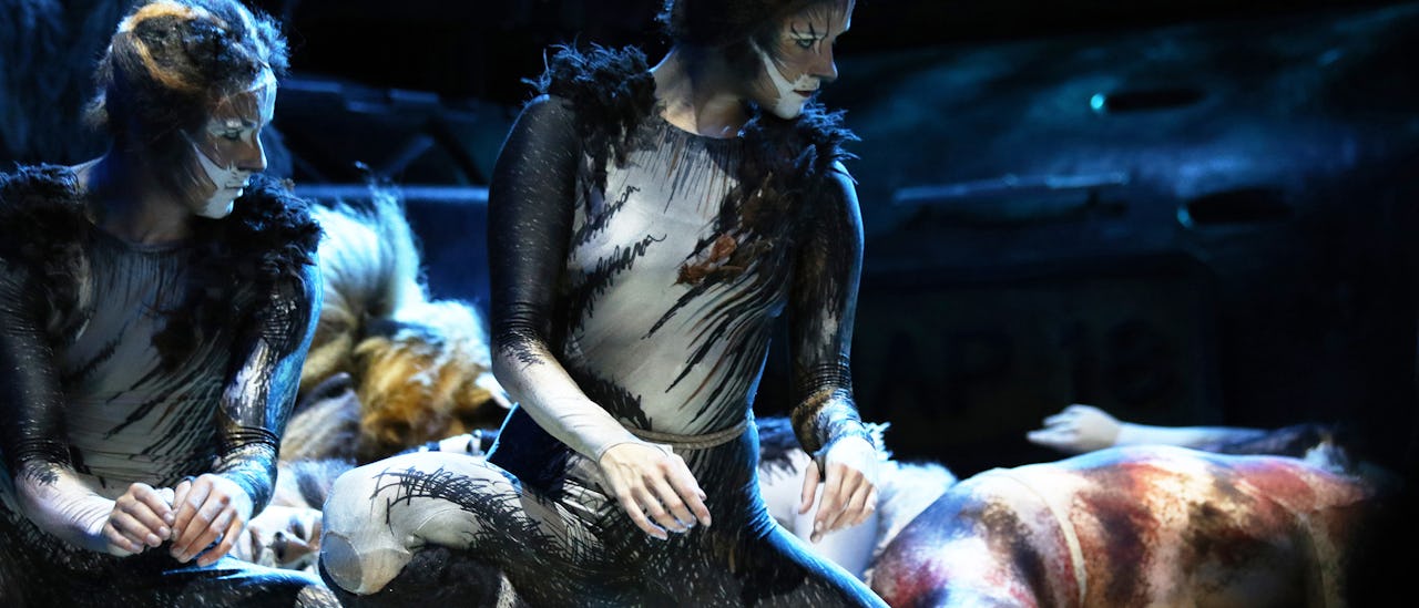 Geniet van een 90 minuten durende swingende en waanzinnige theatershow van Cats.